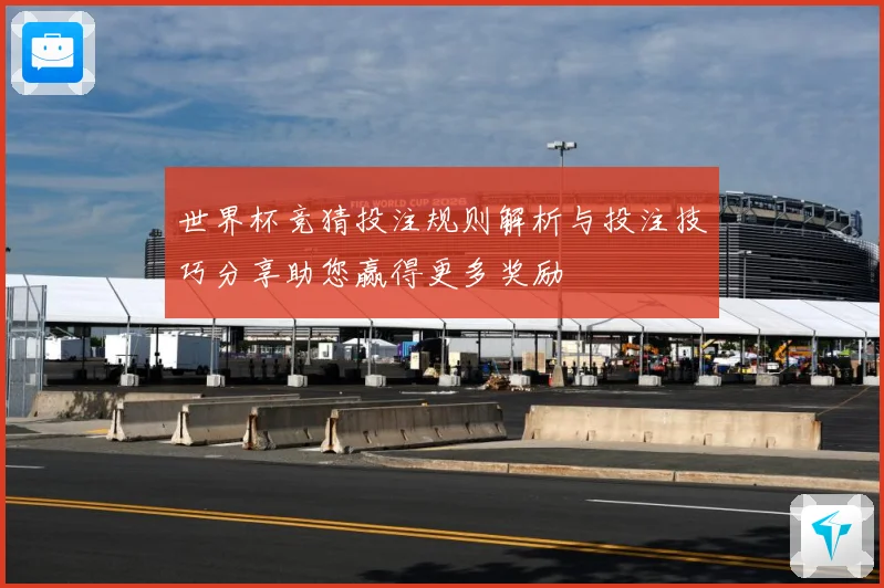 世界杯竞猜投注规则解析与投注技巧分享助您赢得更多奖励