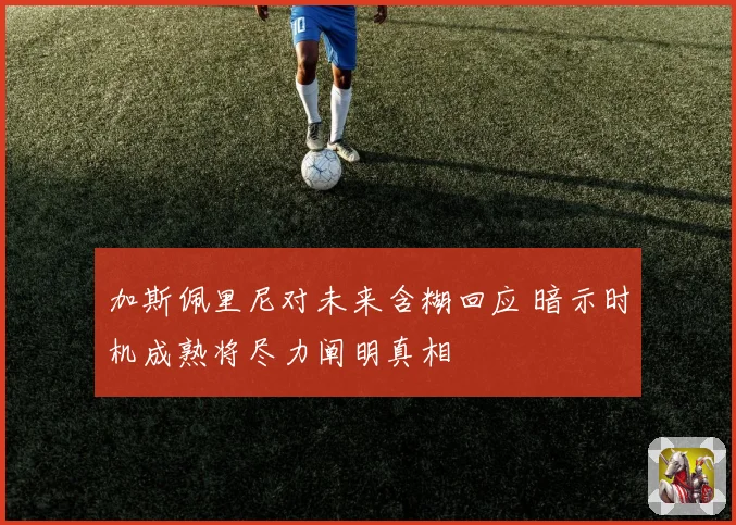 加斯佩里尼对未来含糊回应 暗示时机成熟将尽力阐明真相