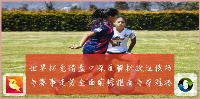 世界杯竞猜盘口深度解析投注技巧与赛事走势全面前瞻指南与夺冠格局