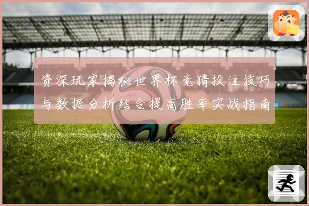 资深玩家揭秘世界杯竞猜投注技巧与数据分析结合提高胜率实战指南