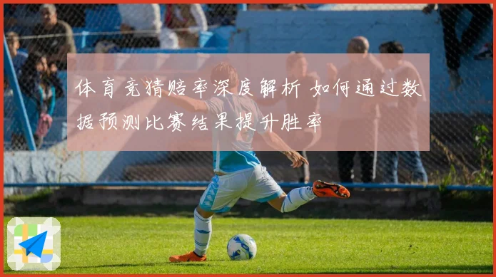 体育竞猜赔率深度解析 如何通过数据预测比赛结果提升胜率